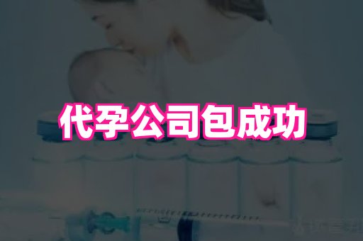 香港助孕网 1
