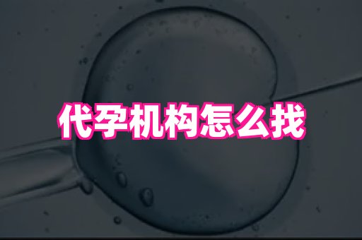 香港助孕网 2