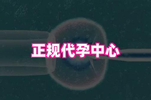 香港助孕网 3